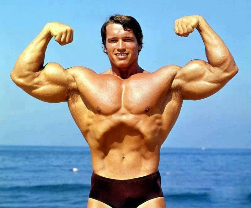 Arnold Schwarzenegger